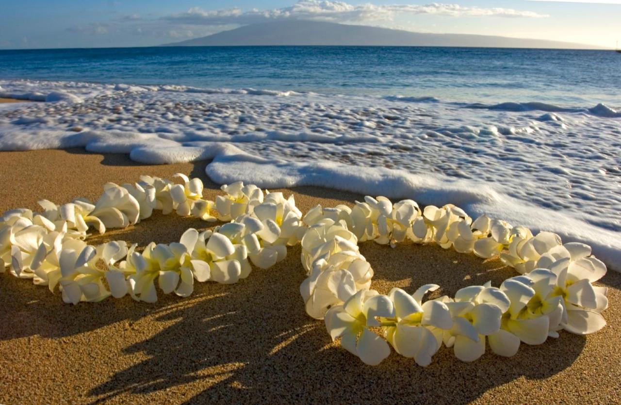 Diamond Head Views Retreat With Free Parking & Near Waikiki Beach! Гонолулу Экстерьер фото